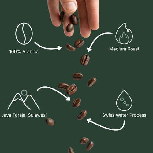 Forest Decaf Coffee (Medium Roast)