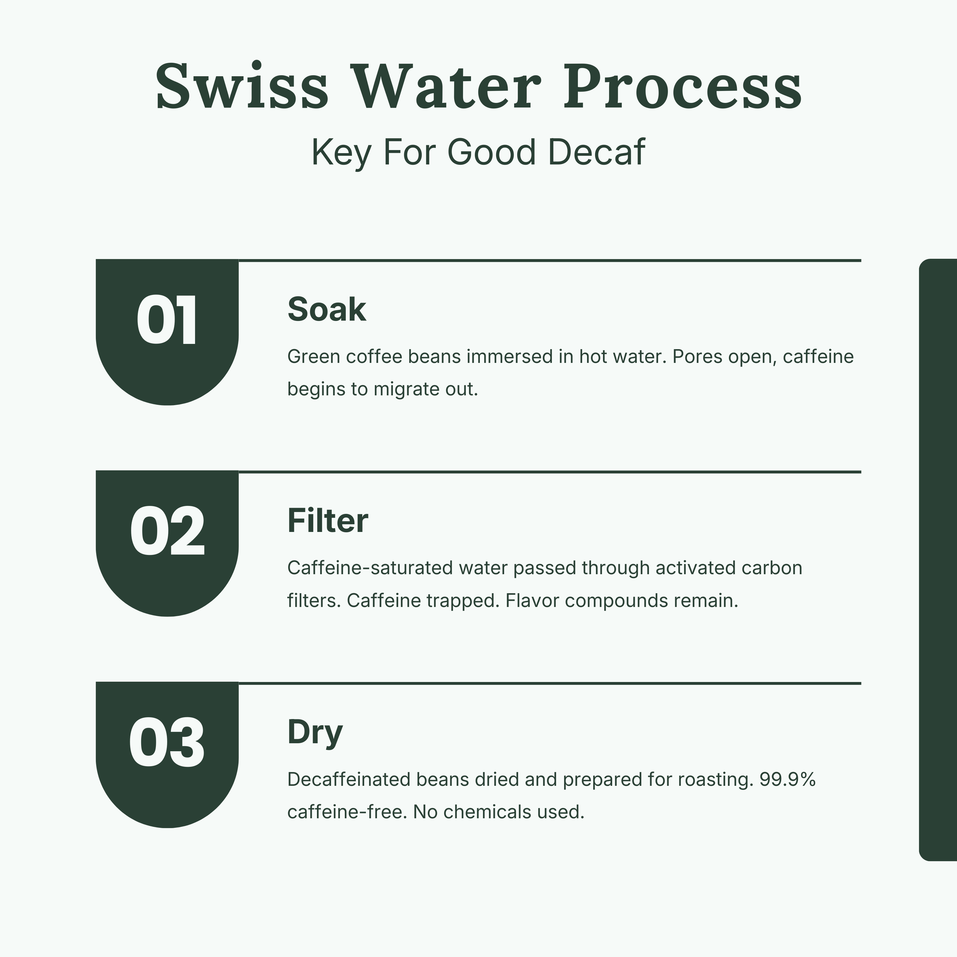 Forest Decaf Coffee (Medium Roast)