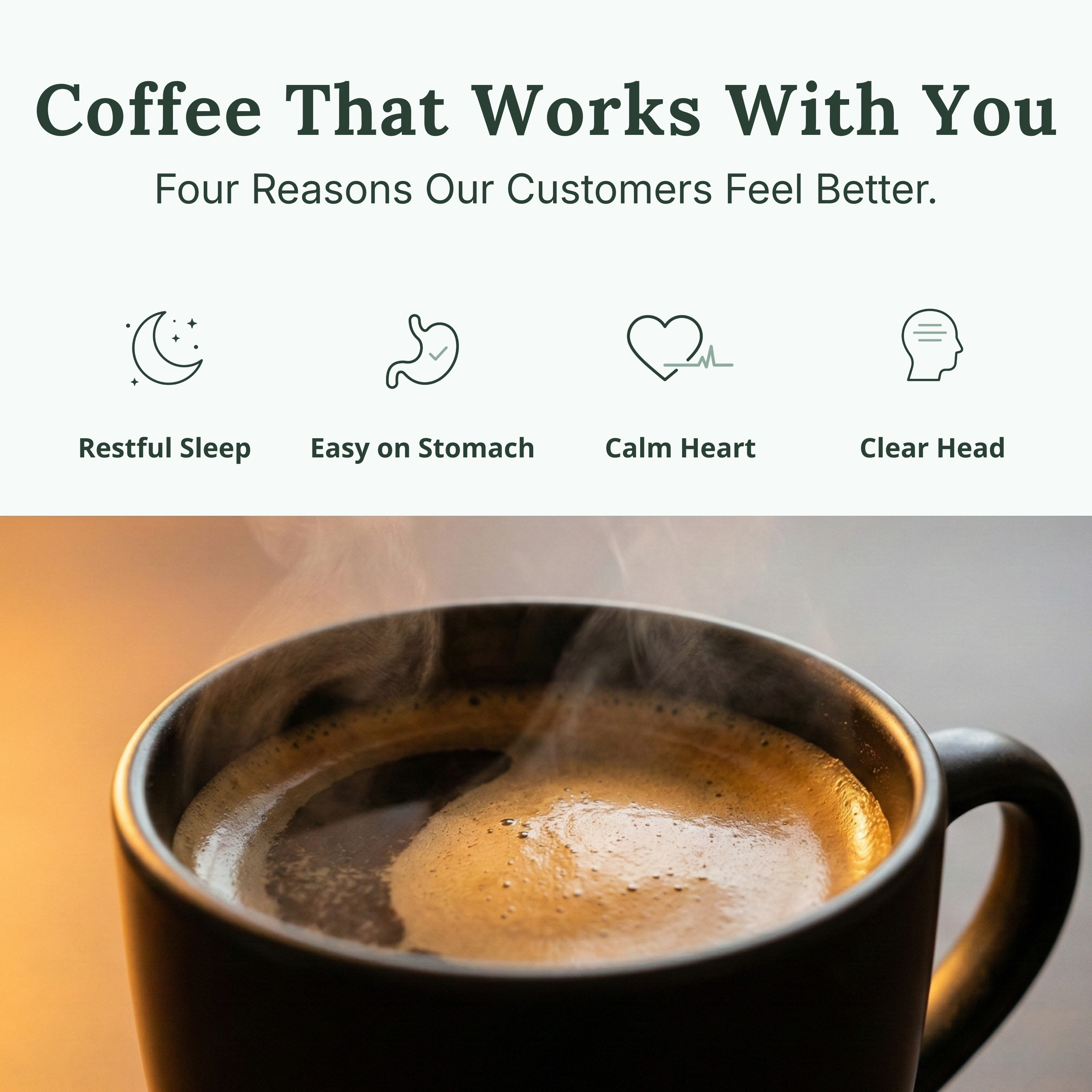 Forest Decaf Coffee (Medium Roast)