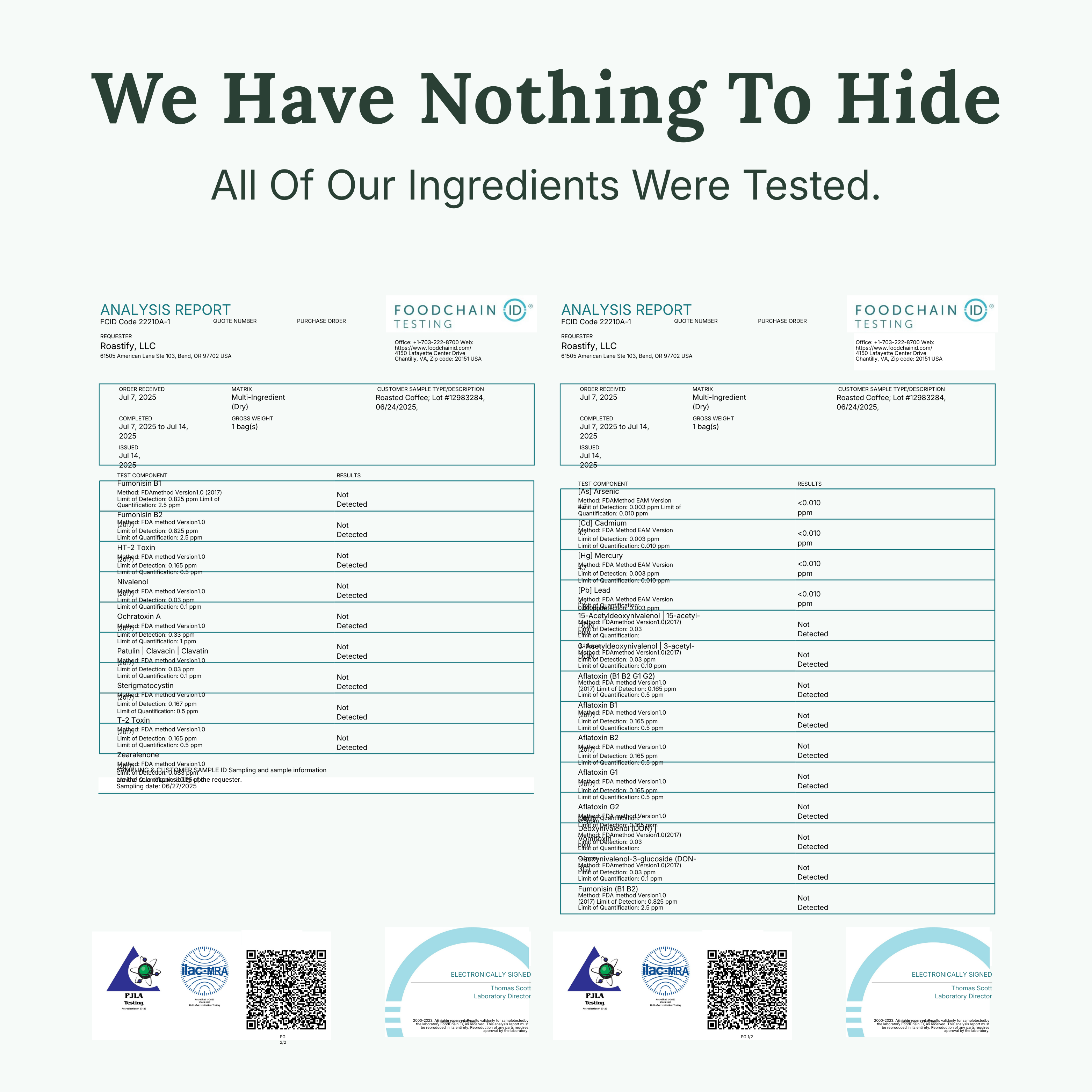 Forest Decaf Coffee (Medium Roast)